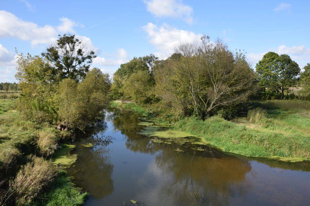 Trasa Budzieszyńska